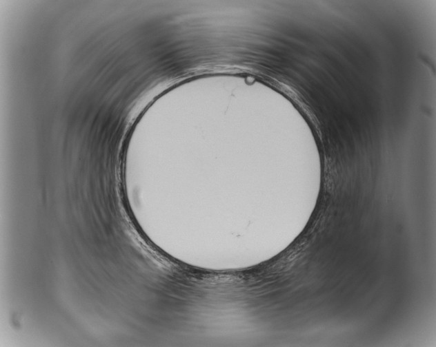 X0000101121187200806261038