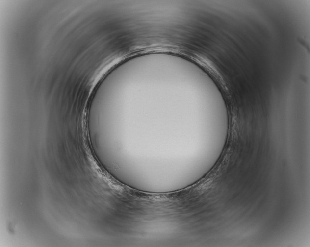X0000101121190200806261038