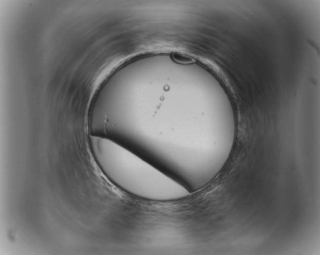 X0000101121191200806261038