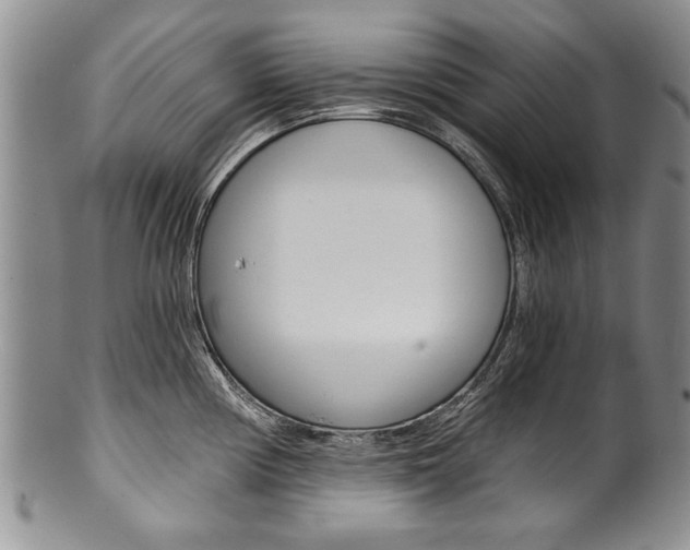 X0000101121194200806261038
