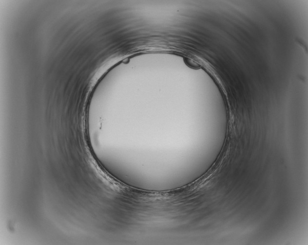 X0000101121195200806261038
