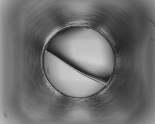 X0000101121196200806261038