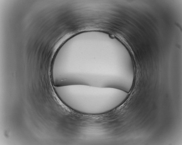 X0000101121197200806261038