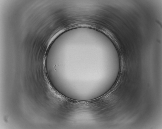 X0000101121198200806261038