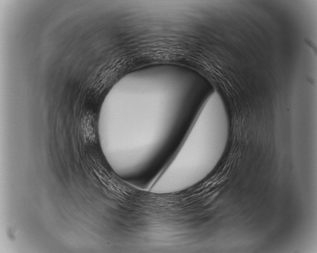 X0000101121202200806261037