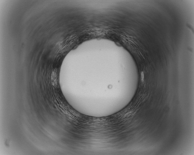 X0000101121203200806261037