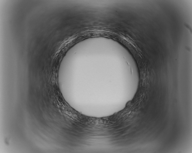 X0000101121207200806261037