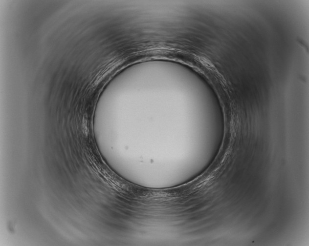 X0000101121209200806261037