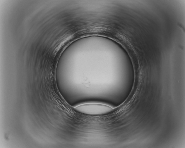 X0000101121210200806261037