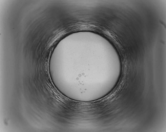 X0000101121211200806261037