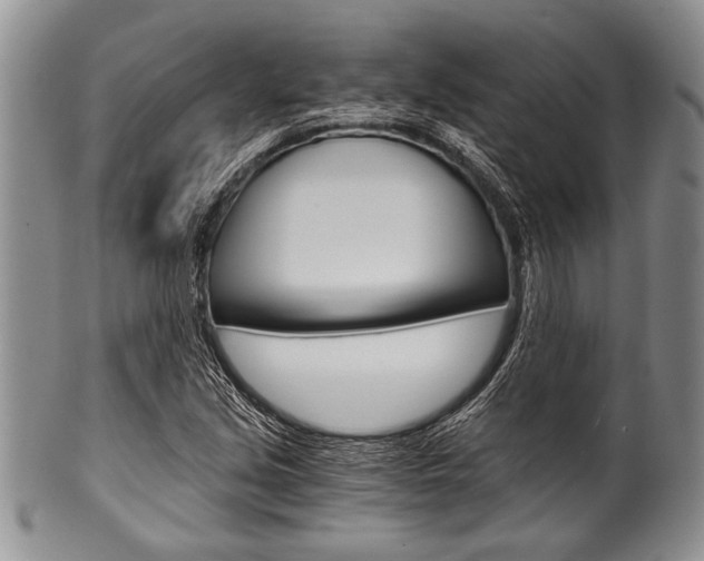 X0000101121213200806261037