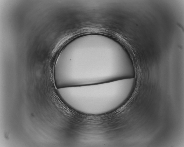 X0000101121215200806261037