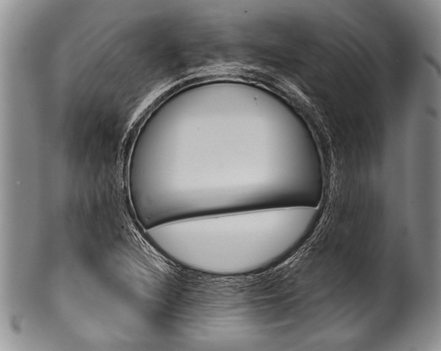X0000101121216200806261037