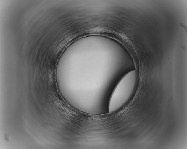 X0000101121217200806261037