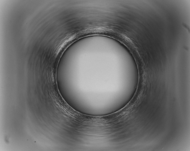 X0000101121218200806261037