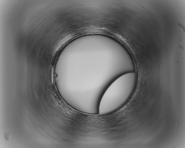 X0000101121219200806261037