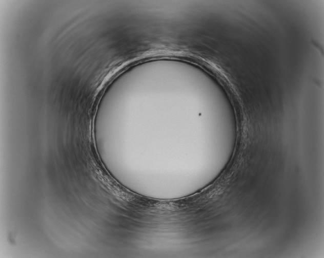 X0000101121220200806261037