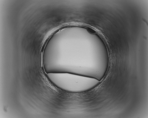 X0000101121223200806261037