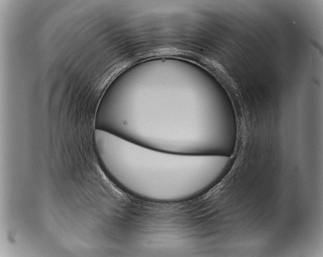 X0000101121225200806261037