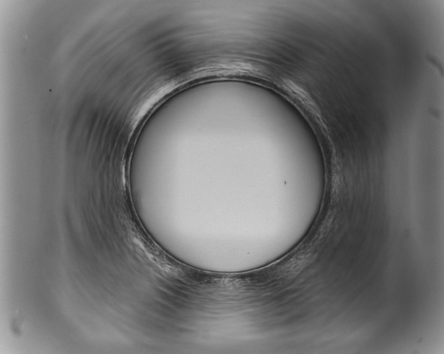 X0000101121226200806261037