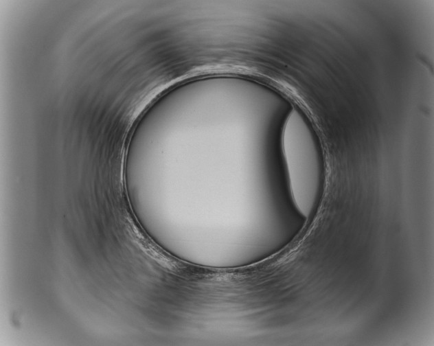 X0000101121228200806261037
