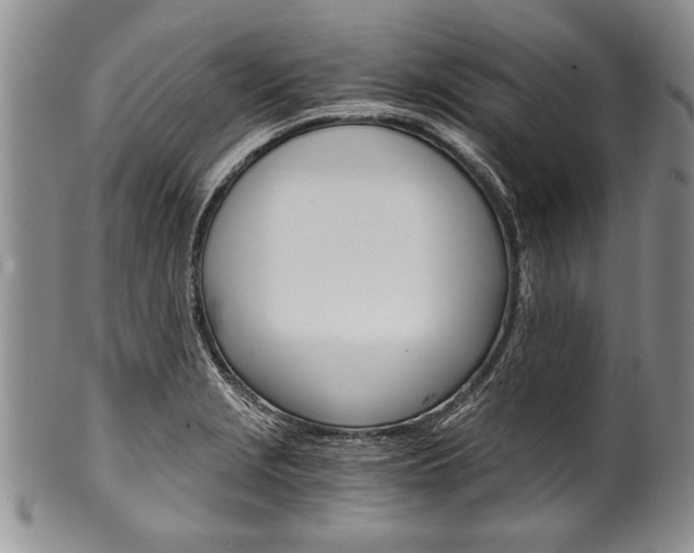 X0000101121229200806261037