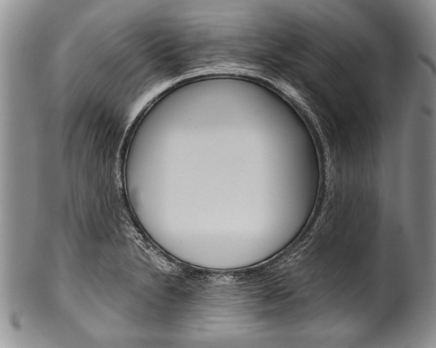 X0000101121230200806261037