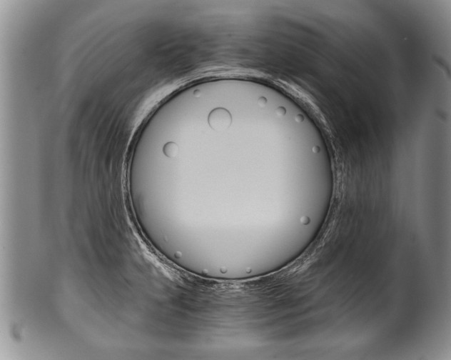 X0000101121231200806261037