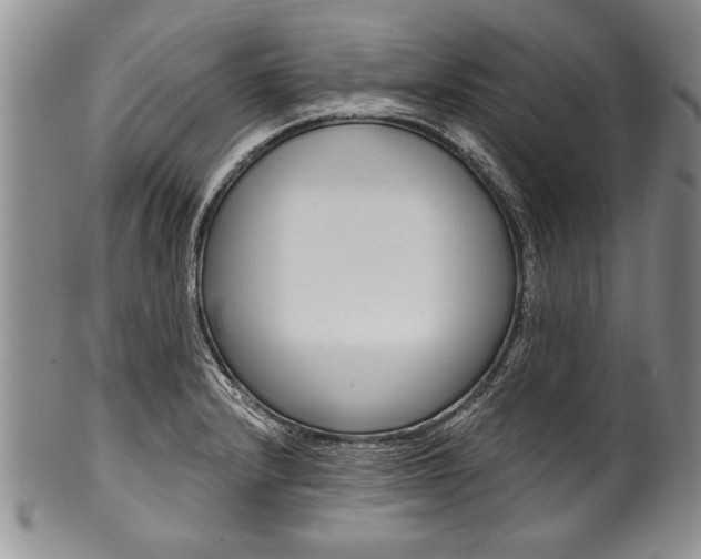 X0000101121232200806261037