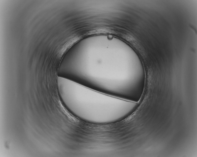 X0000101121233200806261037