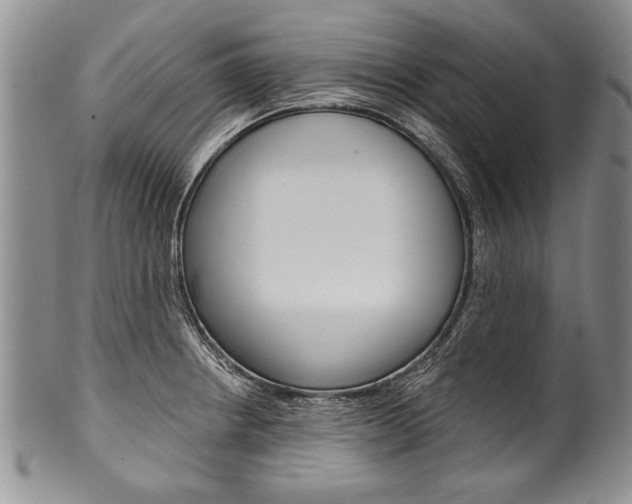 X0000101121234200806261037