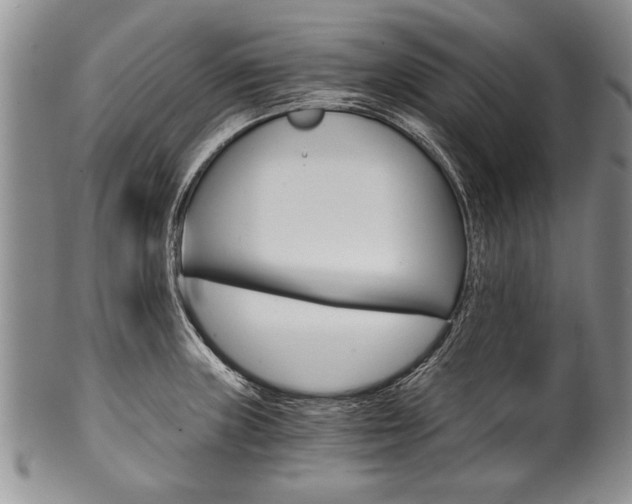 X0000101121235200806261037