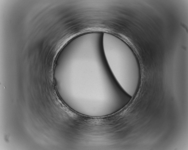 X0000101121236200806261037