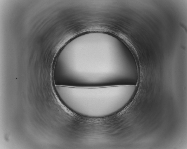 X0000101121237200806261037