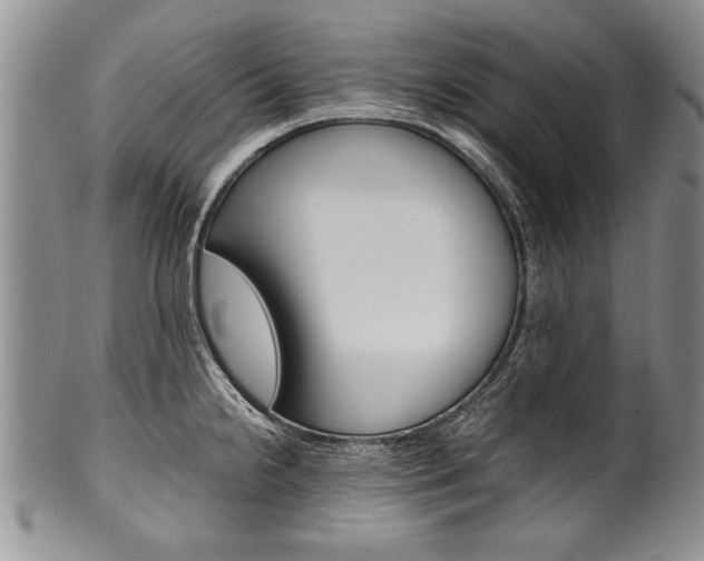 X0000101121238200806261037