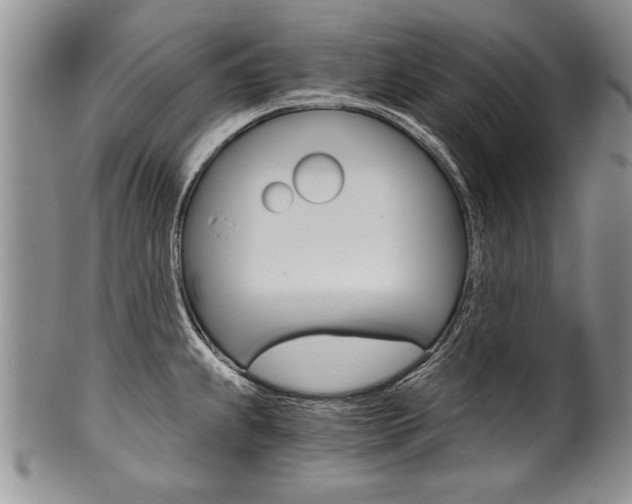 X0000101121239200806261037