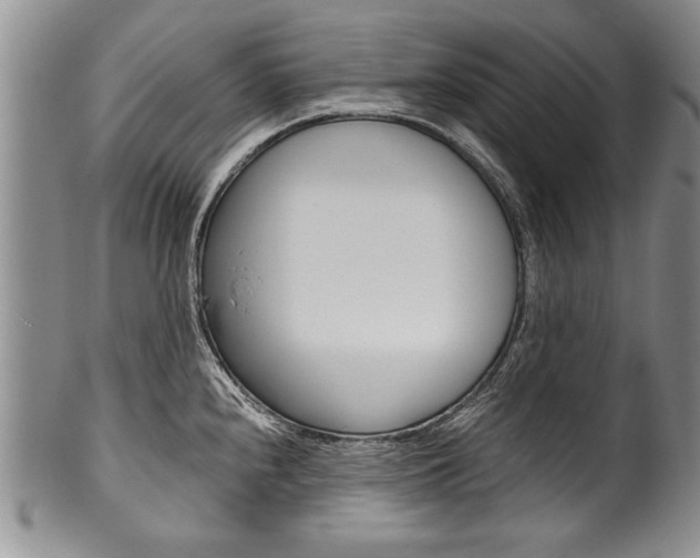 X0000101121240200806261037