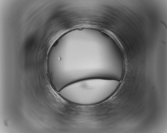 X0000101121244200806261037