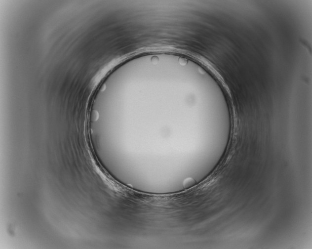 X0000101121245200806261038