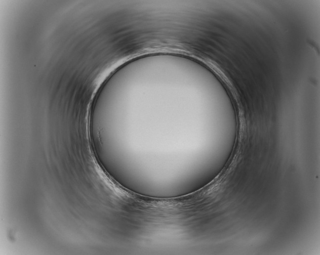 X0000101121246200806261038