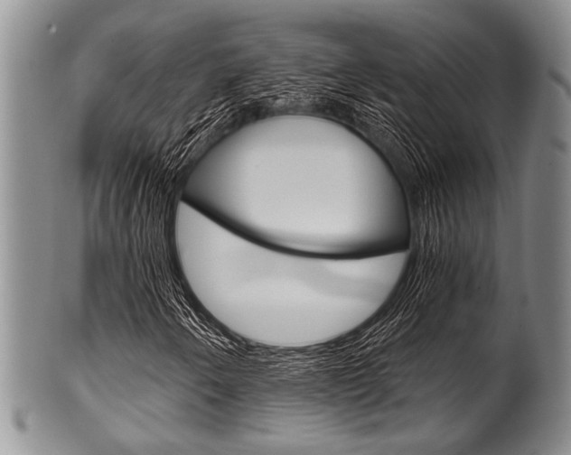 X0000101121250200806261037