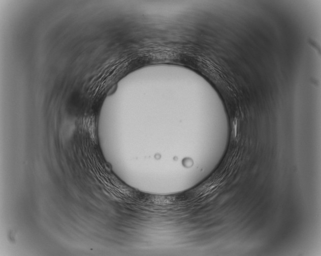 X0000101121251200806261037