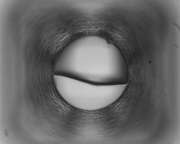 X0000101121252200806261037