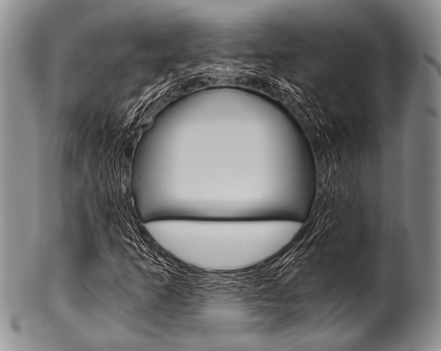 X0000101121253200806261037