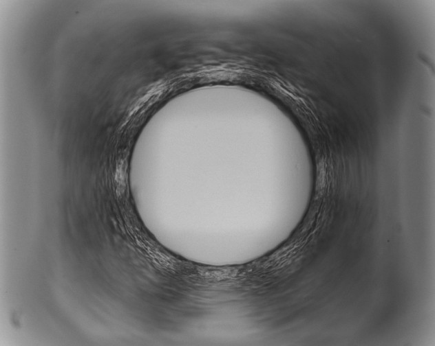 X0000101121254200806261037