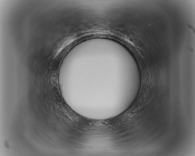 X0000101121255200806261037