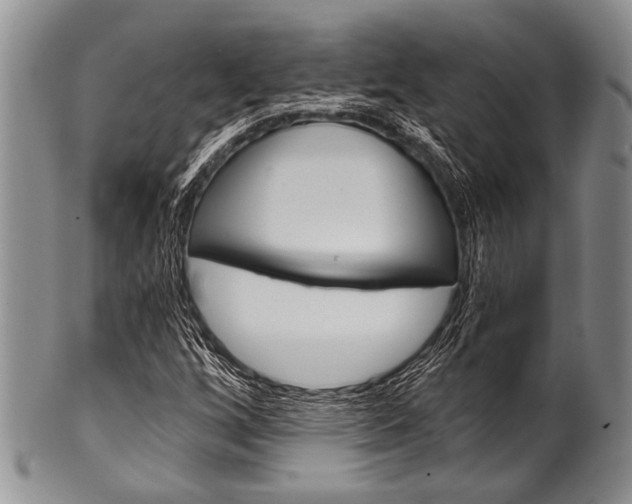X0000101121256200806261037