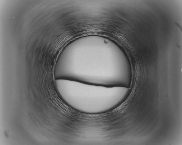X0000101121257200806261037
