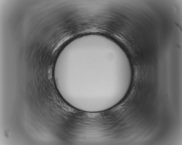 X0000101121258200806261037