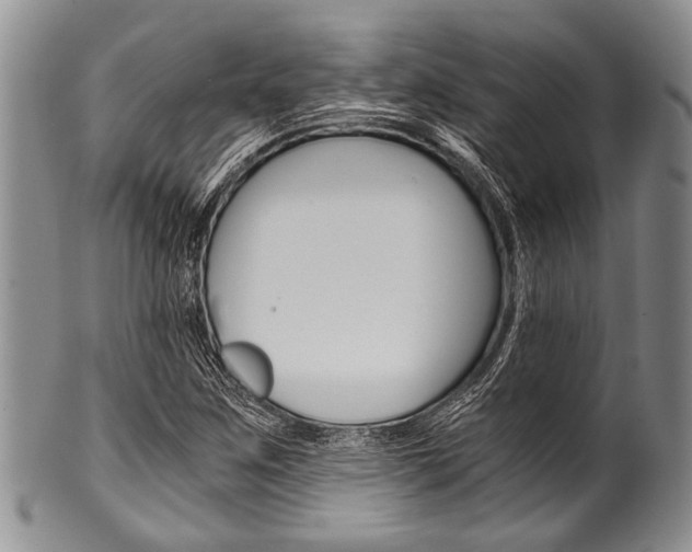 X0000101121259200806261037